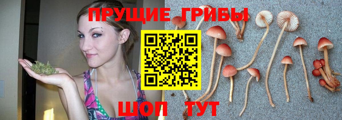 Галлюциногенные грибы мухоморы Новоалександровск