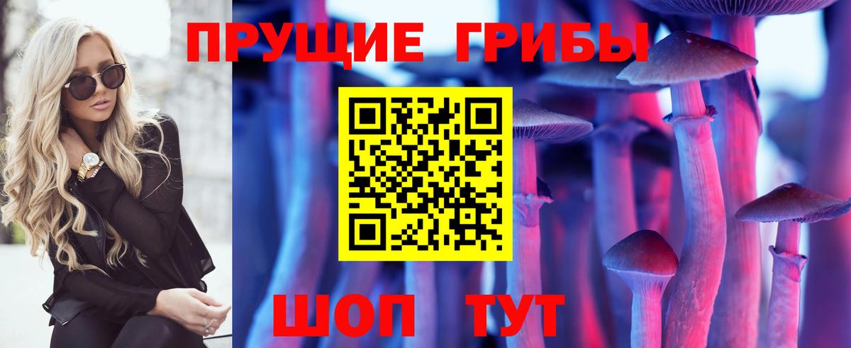 Галлюциногенные грибы GOLDEN TEACHER  Псилоцибиновые грибы MAGIC MUSHROOMS  Вход с VPN  Новоалександровск 