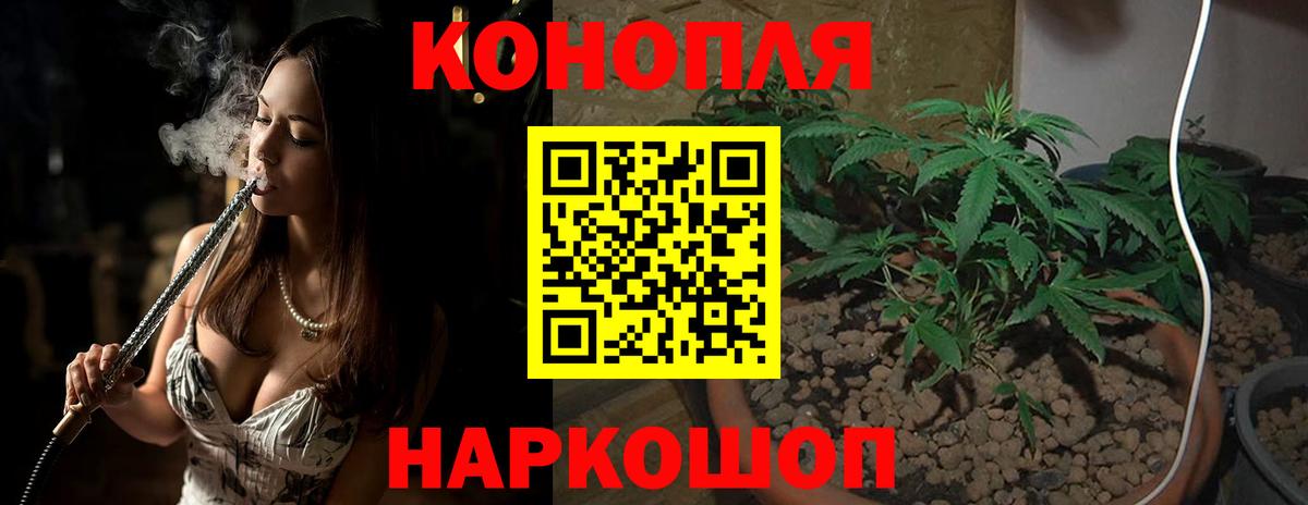МАРИХУАНА SATIVA & INDICA Новоалександровск
